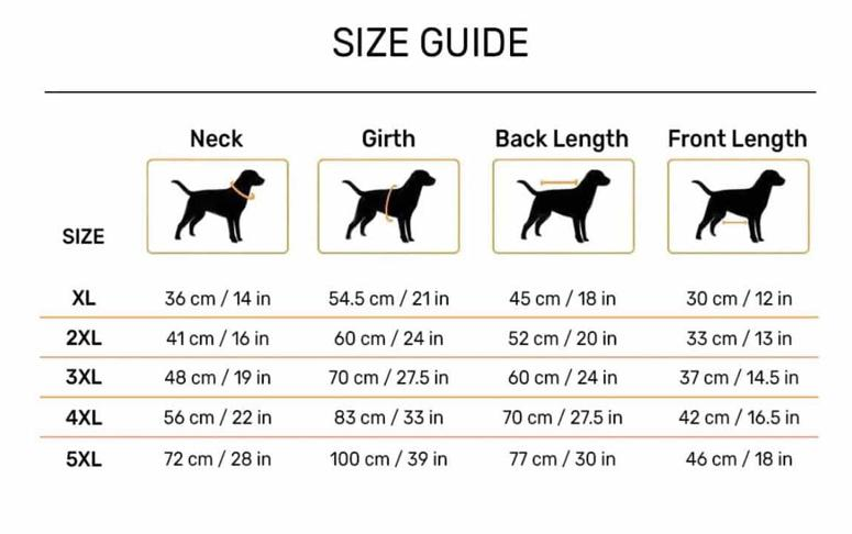 Regal Paws Purple Heritage Dress for Male Dogs- Gold Trim Edition_128